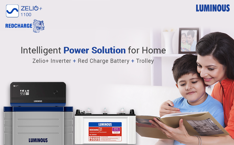 Luminous Luminous Zelio+ 1100 Pure Sine Wave Home UPS